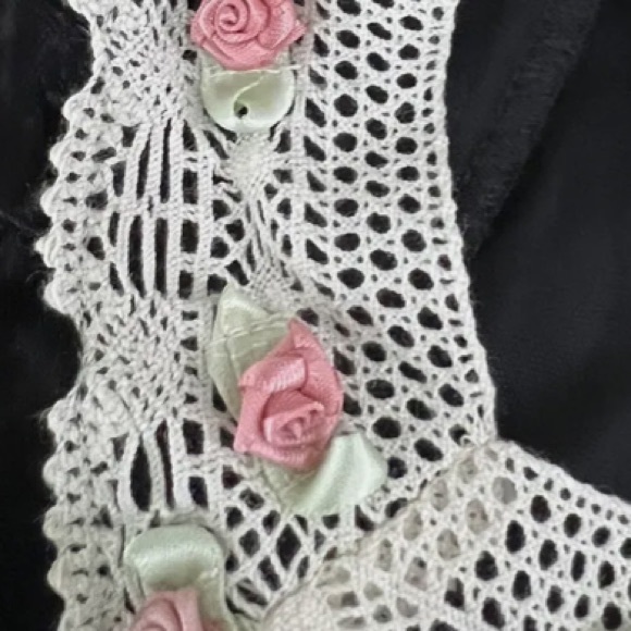 New Free People Black Velvet Twyla Lace-Trim XS Pink Roses Peasant Relaxed Top - Picture 5 of 9